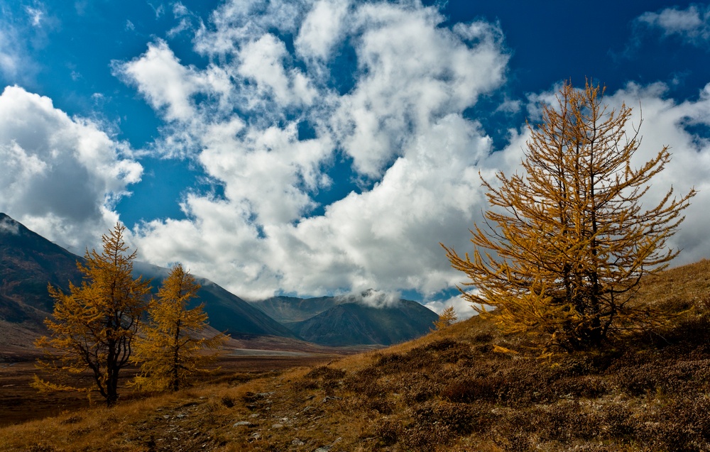 Осень в Монголии